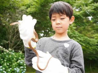 運が良ければヘビとも出会えるかも!?