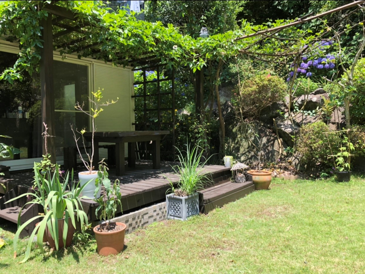 VCǂ΃EbhfbLł̌ł܂