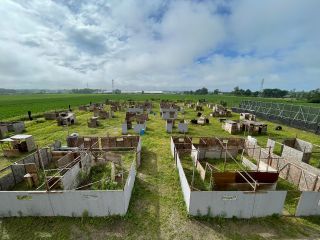 広い敷地で思いっきり楽しみましょう!