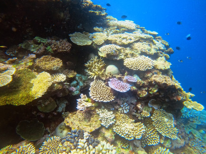 �X��ʂ��L����C�̒��A�ʐ��E�ɗ����C�����B