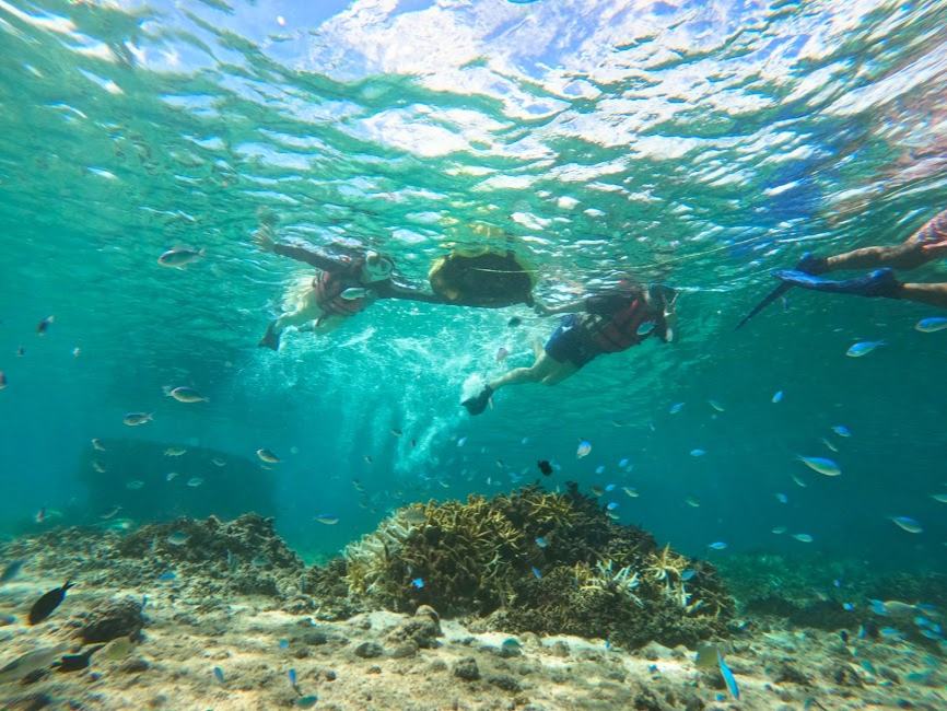 �傫�ȕ����ւɁA���܂�Ȃ���̌��ł���̂ŁA������҂₨�q�l�A�j�������ȕ��ɂ��A���S���ċ{�Ó��̊C�̒����A���\���Ă���������Ǝv���܂��B