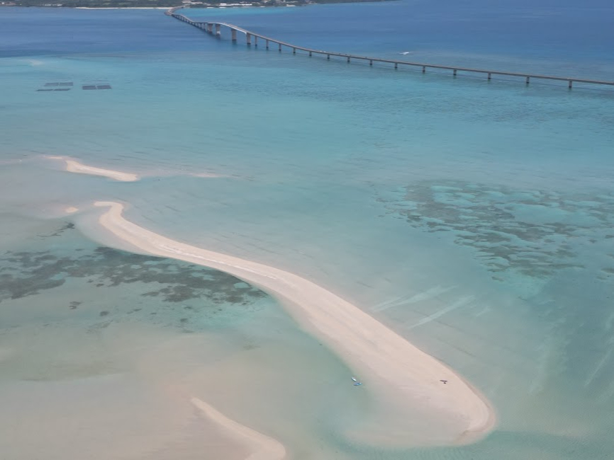 ���̃��j�l�B�h���[���B�e�����ł��B�V�C�悭�����ア���ɂ́A����s���Ă݂܂��傤(^^)/