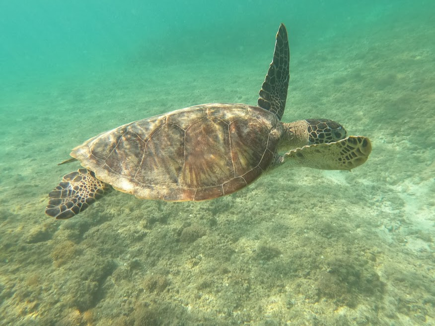 xQ̋{ÓŃE~Kƈꏏɂ̂тCU