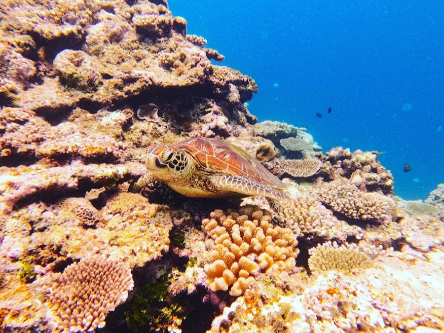 Xɂ܂ȂQĂE~K(^^􂱂Ȏp΂Ⴂ܂()