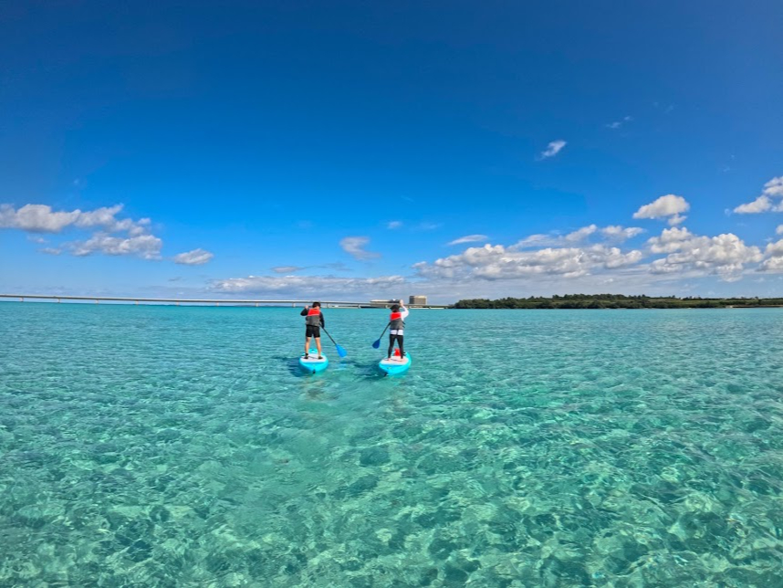 �ݐ؂݂����ȐÂ��ȊC�ցI