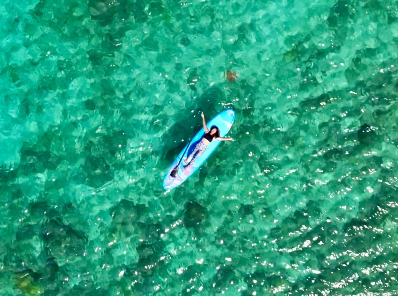 C̏ŋɏ̃bNXIh[BetŁAf[^̓v[gI