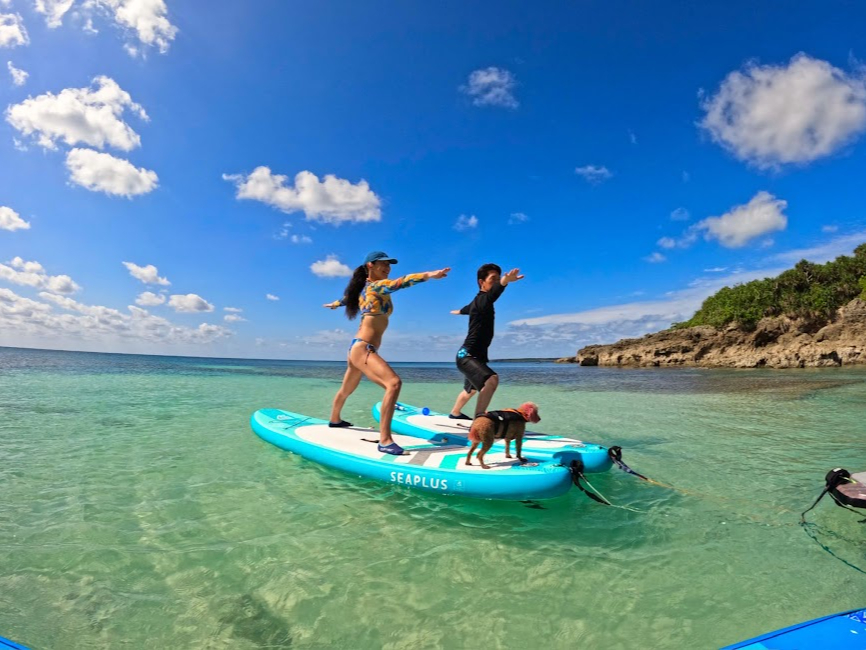 ツアー中の休憩あけ、突然ヨガも楽しめます。