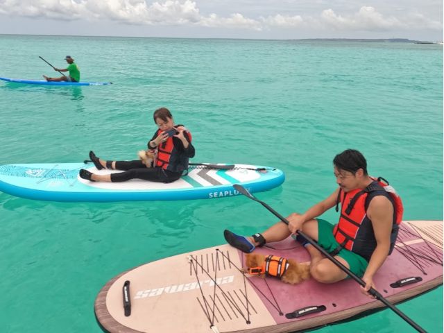のんびり家族でクルージングも、楽しい時間に