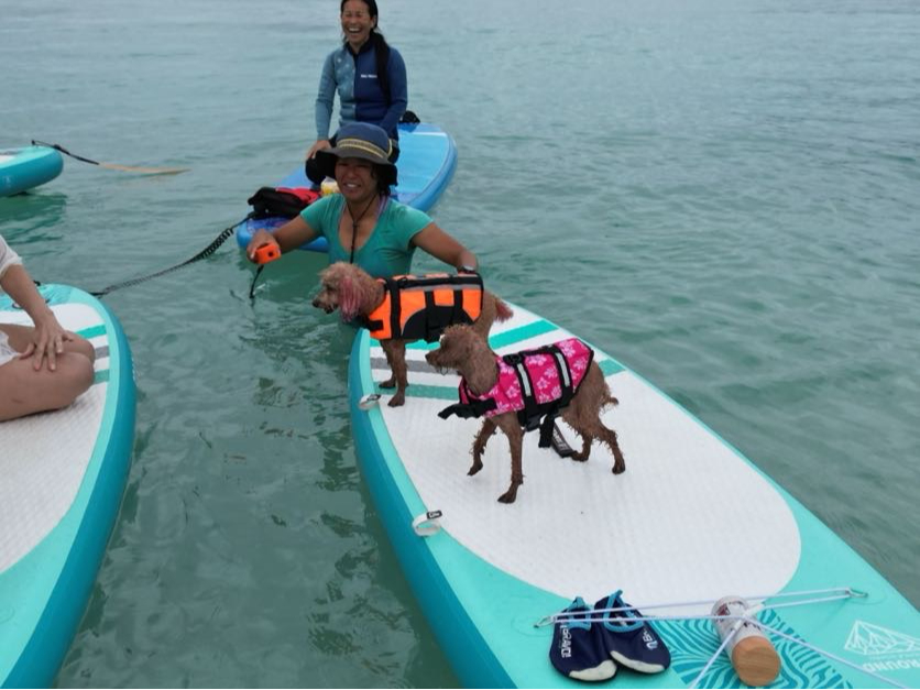 あっち行ったり、こっち来たり、かわいいお二人でした。