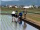 昨年開催した田植え体験の様子@