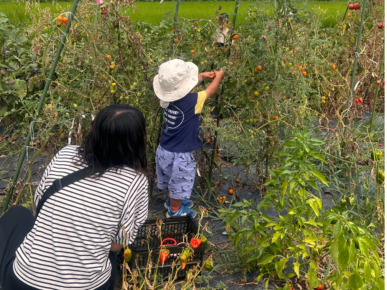 ��N�J�Â����l�q�@