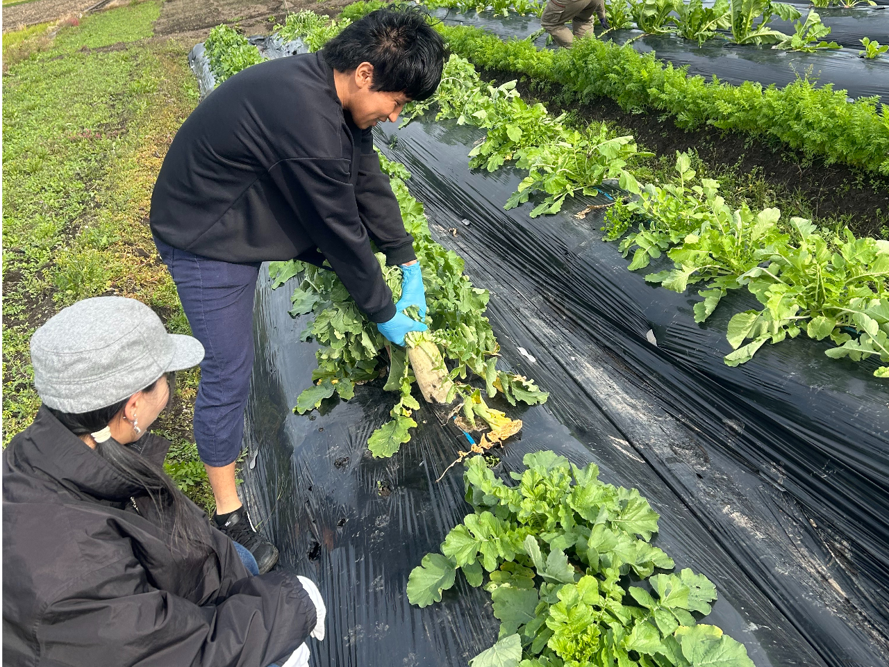 ��N�J�Â����l�q�@