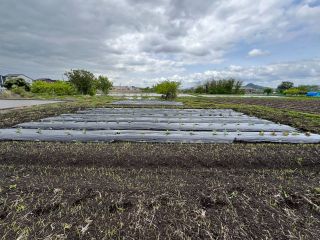 体験圃場のイメージ写真