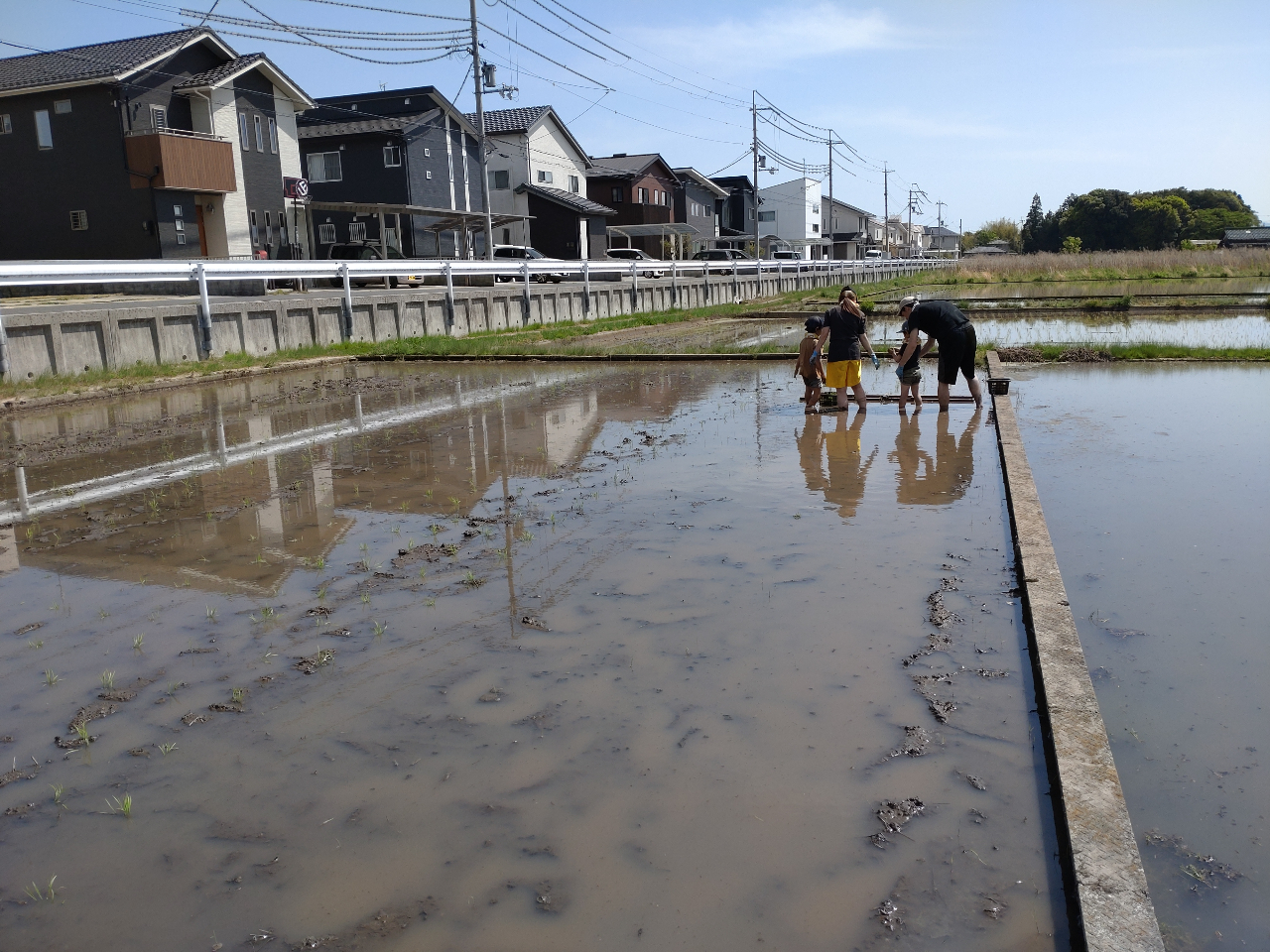 ��N�J�Â����c�A���̌��̗l�q�@