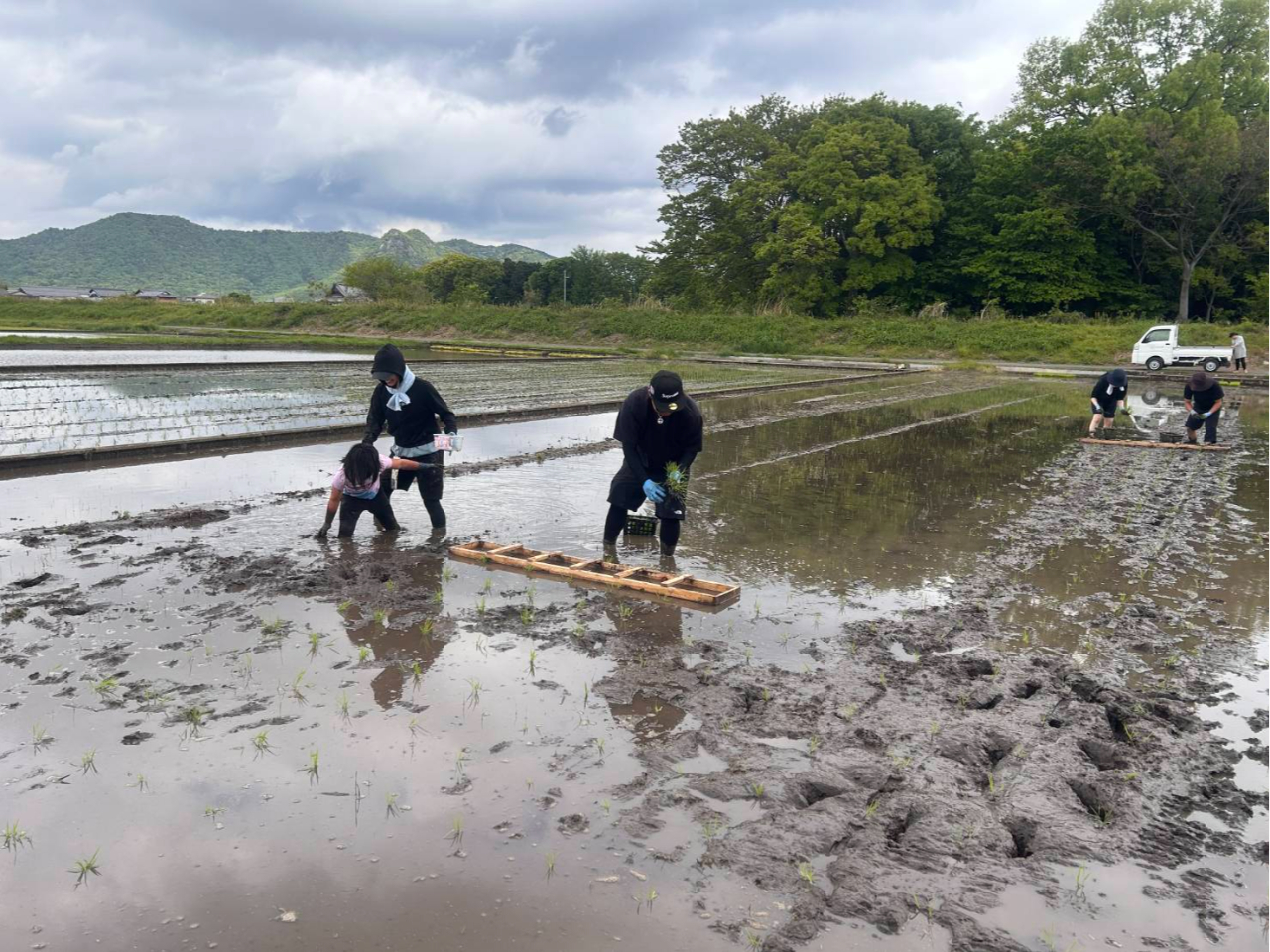 ��N�J�Â����c�A���̌��̗l�q�A