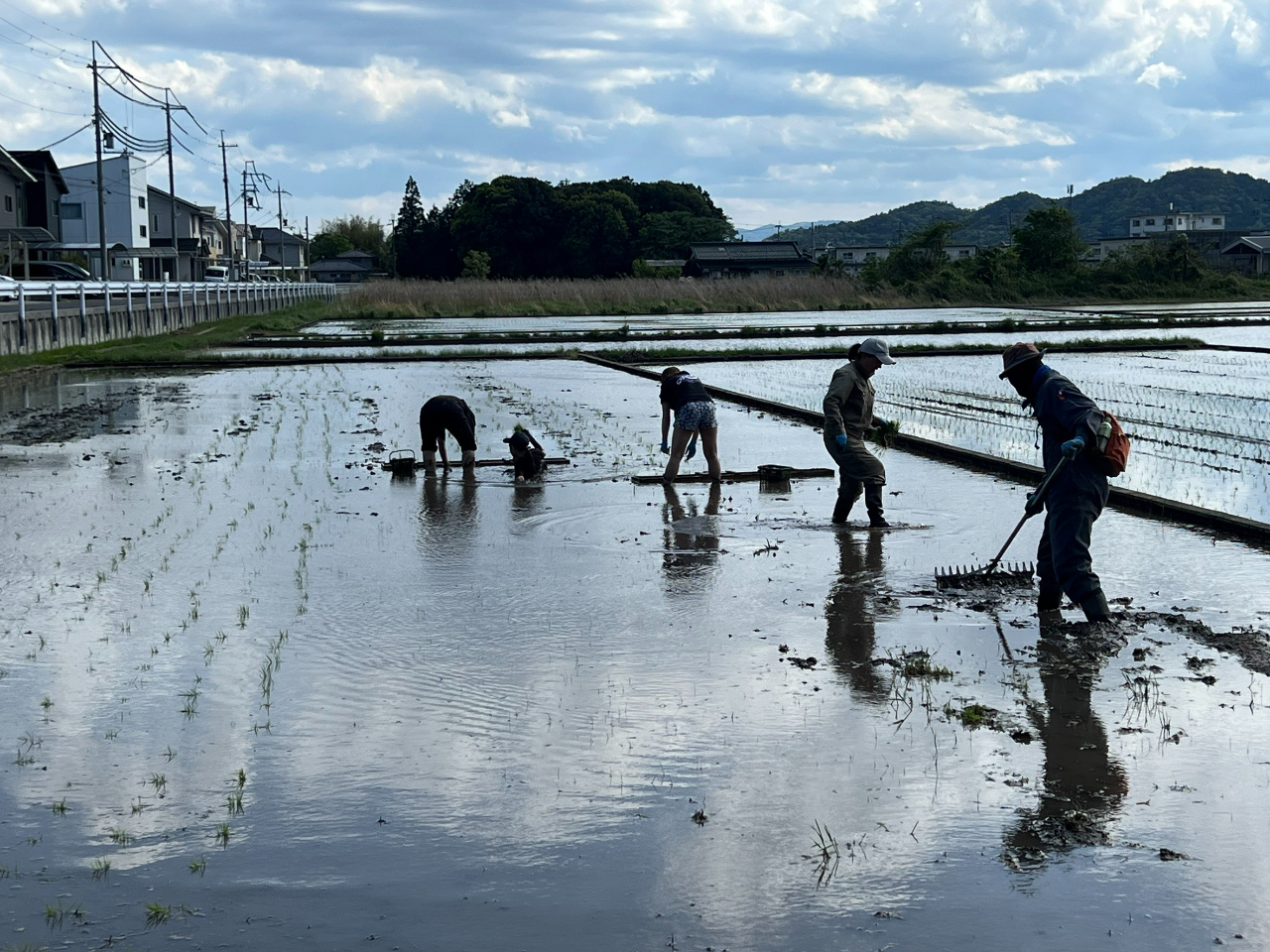 ��N�J�Â����c�A���̌��̗l�q�B