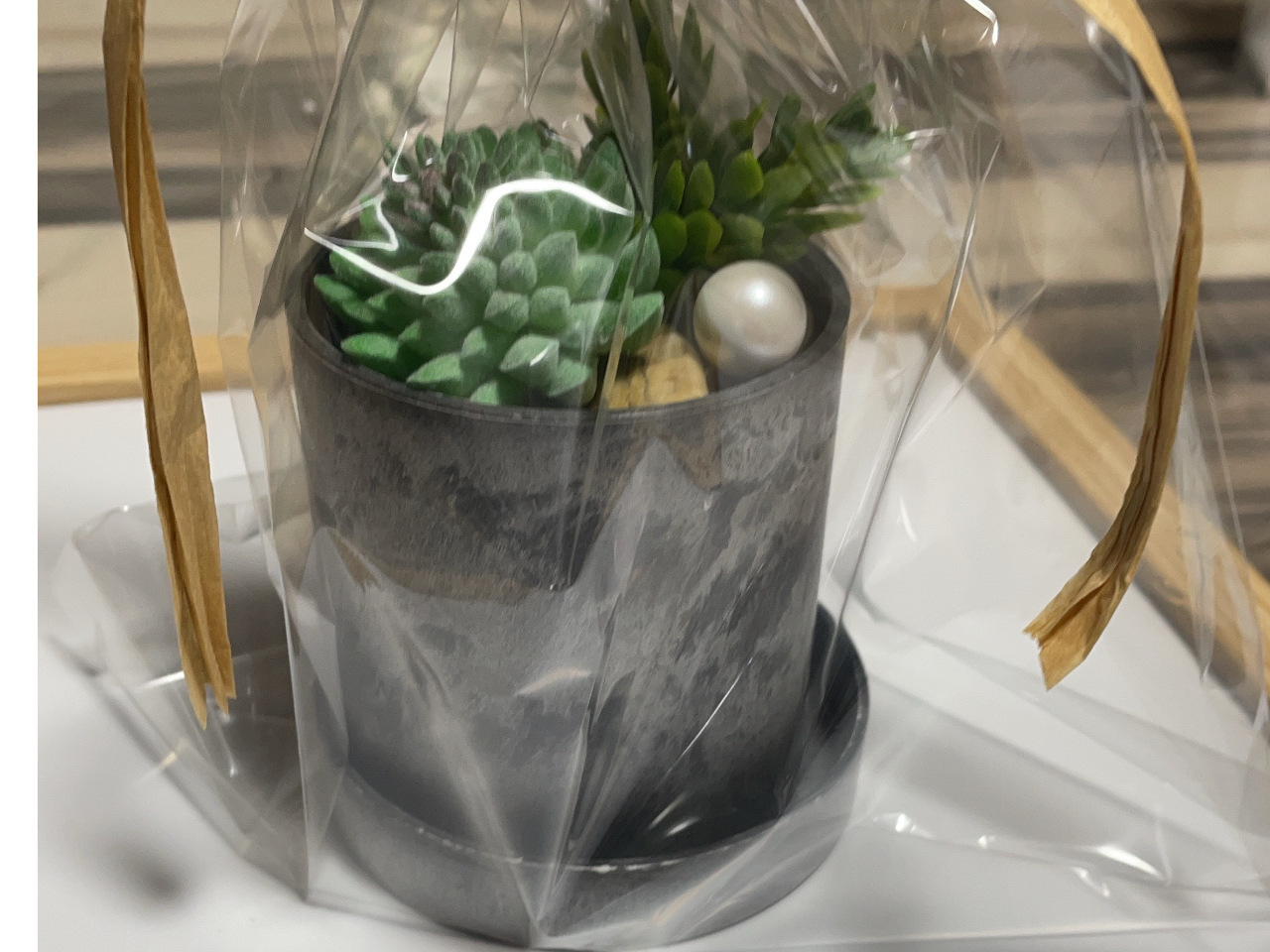 友達のお店のOpenのお祝いに、手づくりフェイクグリーンを! 枯らしちゃうこともなく、お世話がいらないので、重宝されてます♪