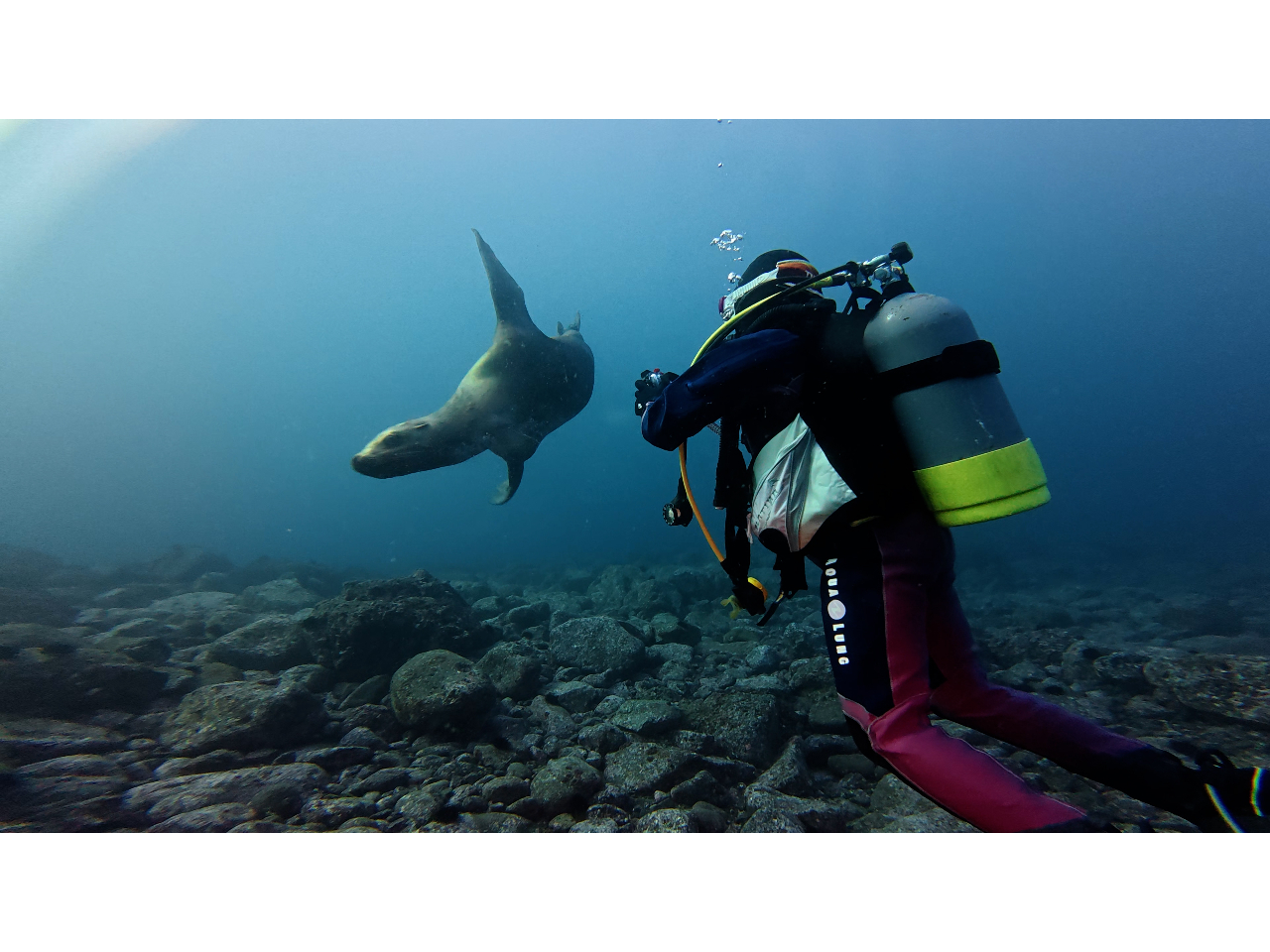 24-25�N�́u�g�h�v�Ƃ̑��������������H�I