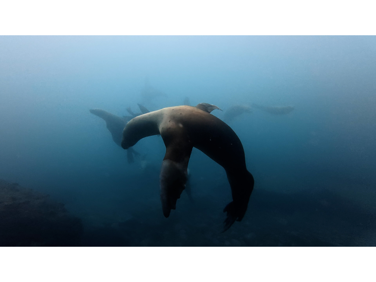 �u�g�h�v�Ɖ��C�B