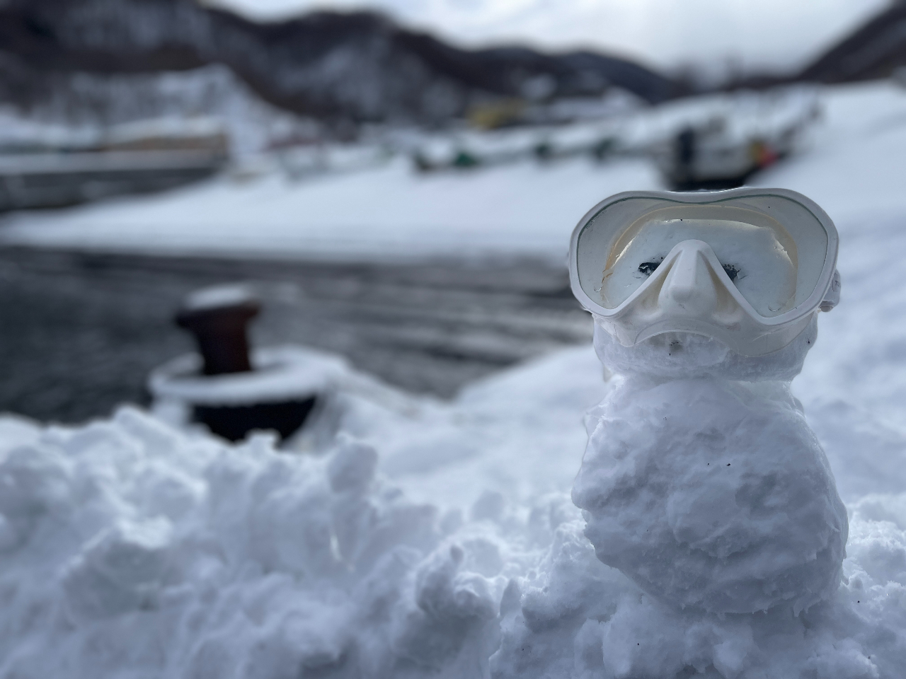 ���Ԍ���̐�i�F�_�C�u�B