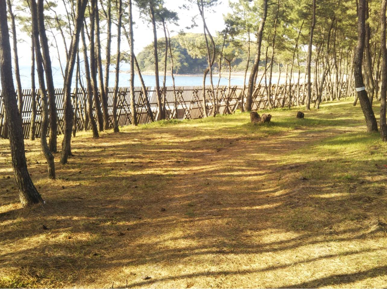 森は歩いて1分。気持ちのいい森林浴を楽しんで。海はすぐそこに広がります。