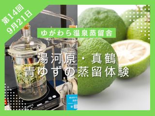 9月21日は湯河原・真鶴の青ゆず蒸留体験です!今の時期だけのフレッシュで芳醇な青ゆずの香りを楽しんでいただけます。