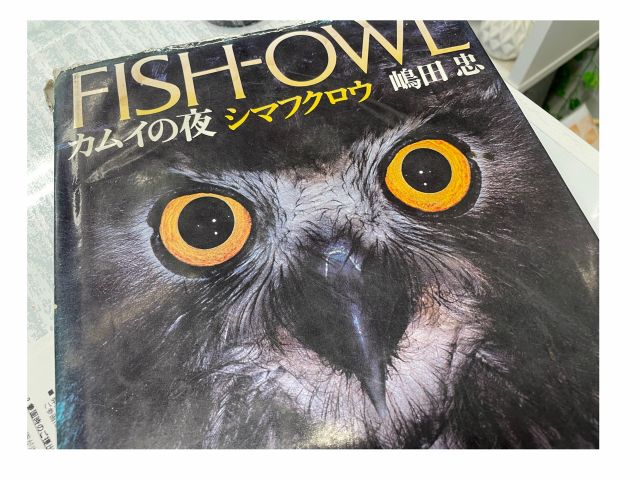 嶋田忠氏の写真集シマフクロウからインスピレーションを受け、石のふくろうを作成しました。