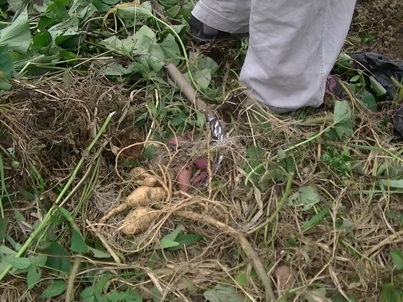 y̒猻邳܂ɊBŘb݂ЂƂƂ