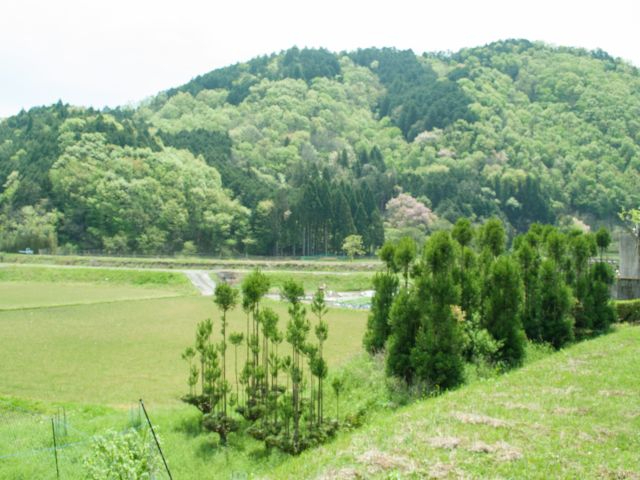 �y�l�G�������闢�R�̌i�F�z���E�\���̎��R�L���Ȋ��B �Â��ȗ��R�Ɉ͂܂�A�S���̂��������Ɖ߂����܂��B