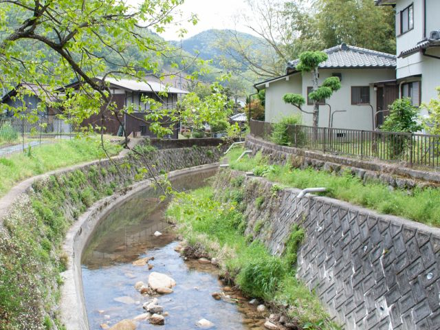 �y���炩�Ȑ�������鎩�R���z�߂��ɂ͏��삪����A���R�̉��ɕ�܂�Ȃ���̌����ł��܂��B �s��ł͖��킦�Ȃ��A���₩�Ȏ��Ԃł��B