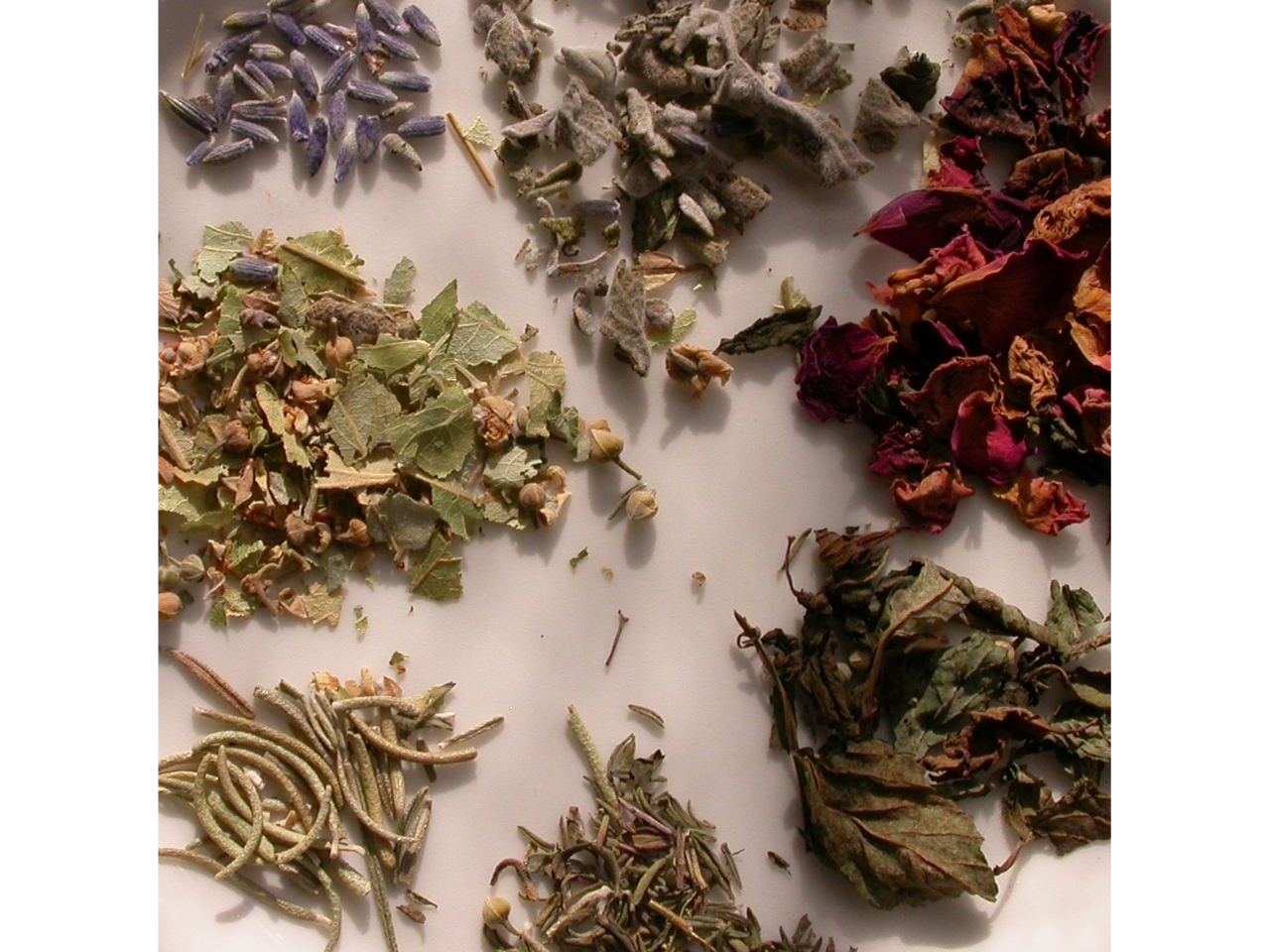 ����Ȃɂ�������̖쑐���g�߂ɁB���R�̌b�݂𔭌����܂��B