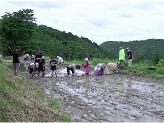 清らかな土に素足で触れ、心も体もリフレッシュ。自然農法で育つ田んぼで、大人も子どもも夢中になれる田植え体験です。泥んこになって、いい汗をかいて、笑顔がこぼれます