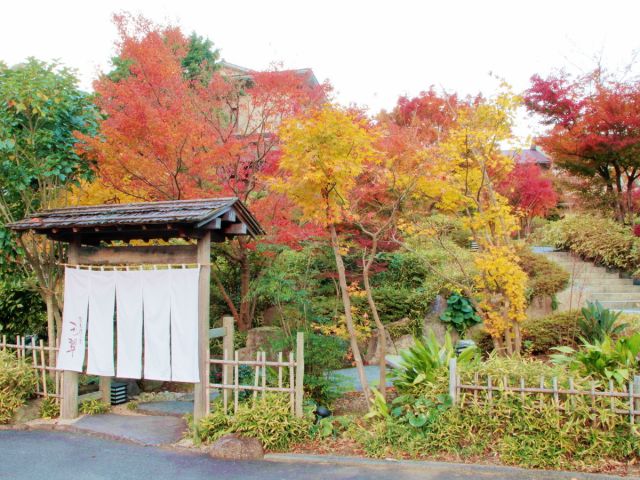 和風庭園「葉ごろも」 紅葉を眺めながら庭園散策をどうぞ