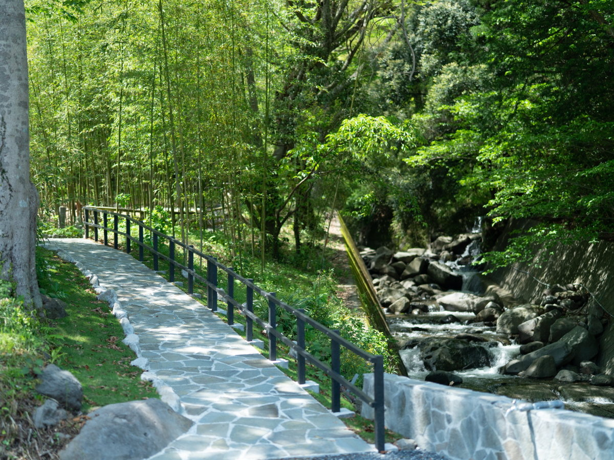 竹林庭園「光だまり(ひだまり)」