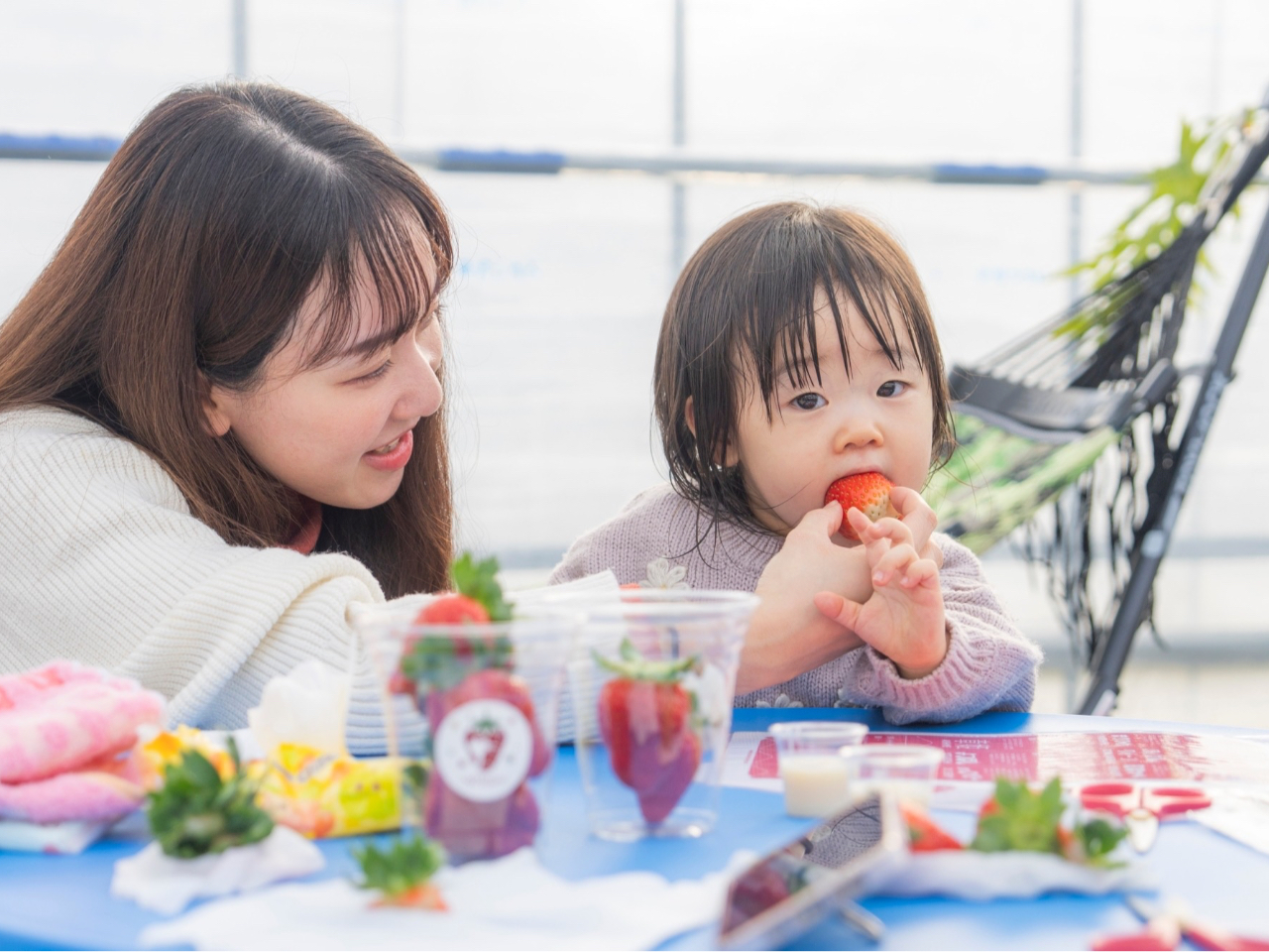 ☆いちご狩り開催☆＼去年よりも品種が増えてなんと11種類！／『いちご