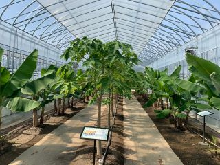 ハウス内は広々としていて温かい♪