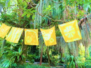 南の島の海岸近くに生息する『福木』の染液を使って、オリジナルの黄色いハンカチを作っていただきます。