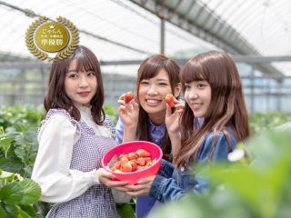 通路が広く、並んで写真撮影ができるくらい。