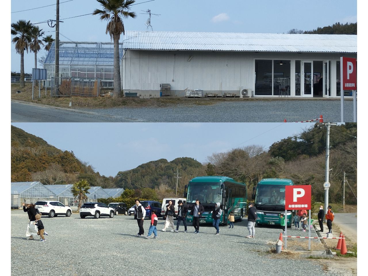 �L�����ԏ���ɂ͔����Ă������Ȏu���C�`�S�n�E�X��t��������܂��B�i���ɂ͂S�Ԋق������Ă��܂��j