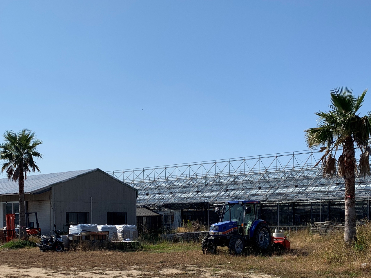 �����_���E�u���C�`�S�n�E�X��t���i��O�̍����̌����j�Ɨ��t�I�[�v���\��̃X�g���x���[�n�E�X�R�Ԋ�