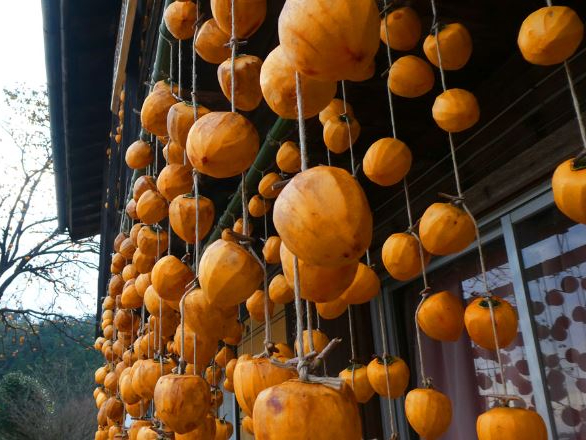 ここからどんどん甘みが増します♪