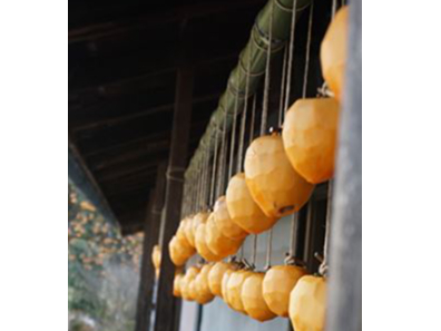 干し柿がただいま熟成中