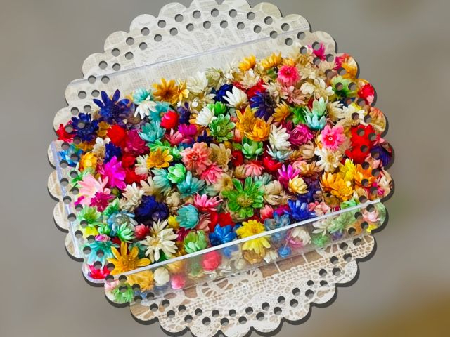 ̌҂ܐiłBƂĂ邢ǂRlgŁAybȂfGȍi𐧍삵Ă܂BF܂X肪Ƃ܂B