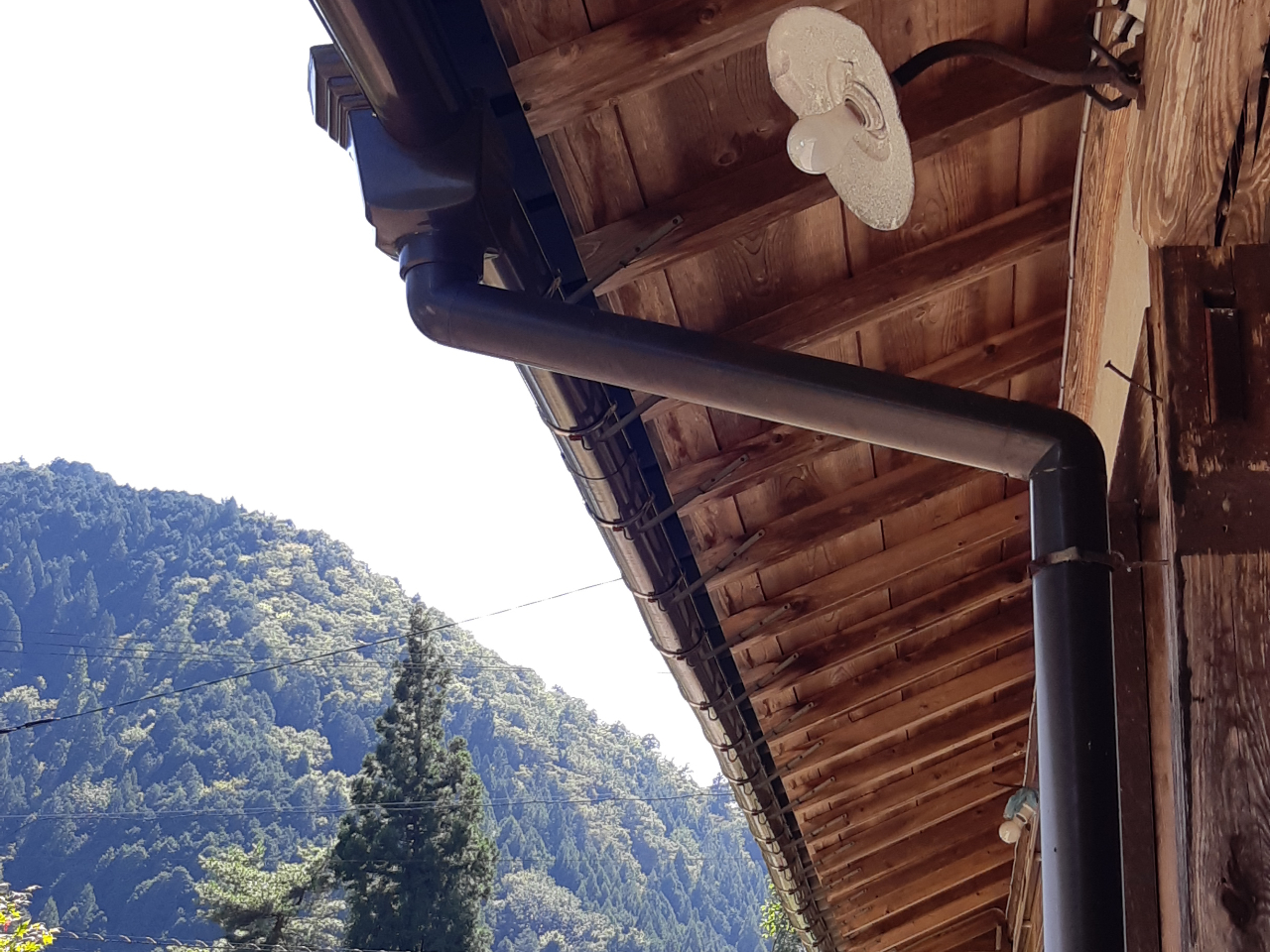 ���g���ȊO��