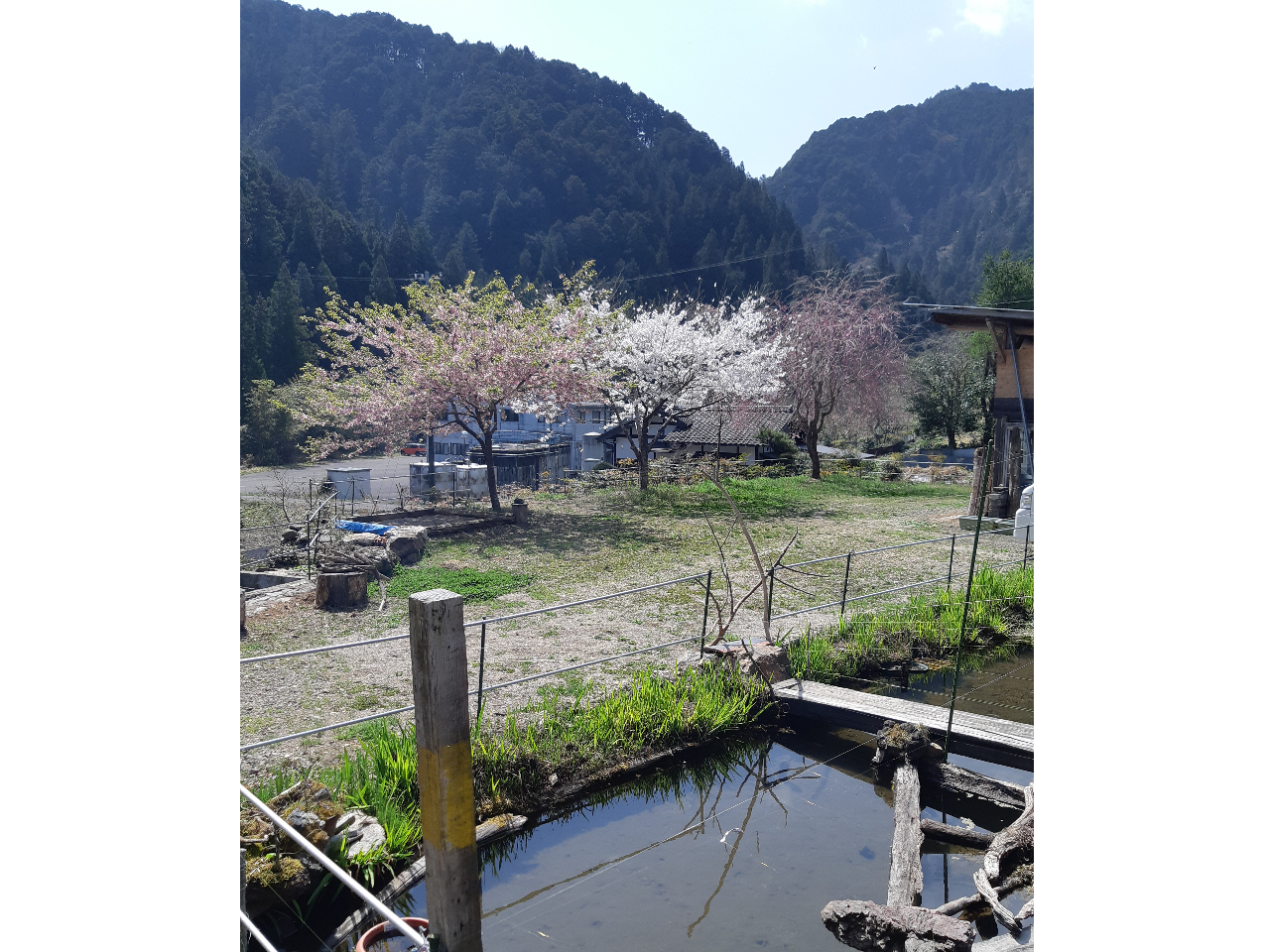 �t�͍������ꂢ�ł���