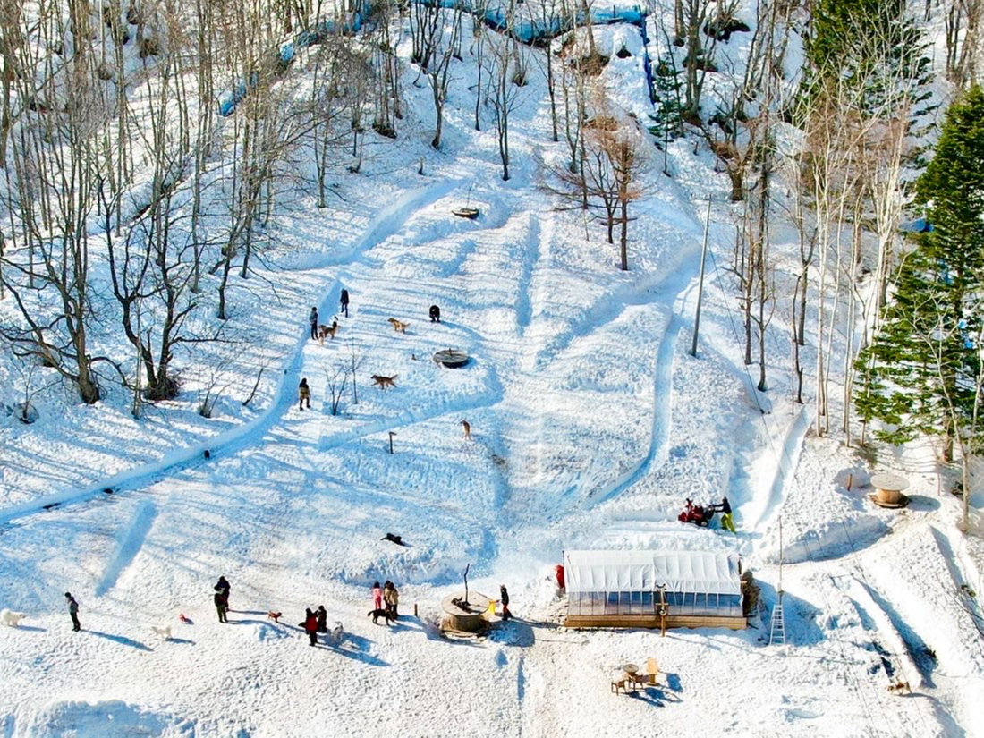【時間無制限×平日】ワンちゃんと大自然を満喫★お好きなお時間にお越しください!<...