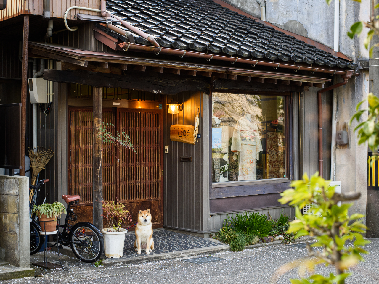 �����炪�A���X�̊O�ςł���