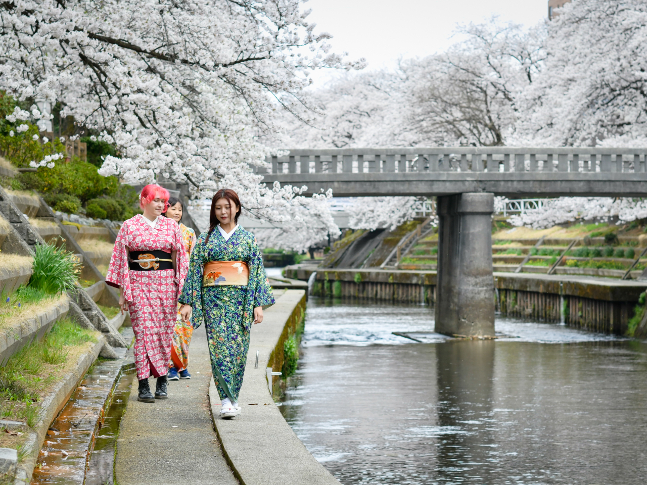 xR̂܂Ȃ𗬂邢̎ӂ͎lG܁X̔y߂܂BpŎӂ̎U߂łB