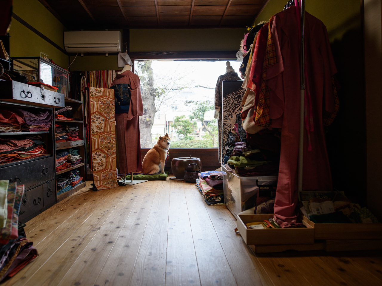 �Ŕ��i�Ԍ��j�u�̂�v�ɂ���邩���H��