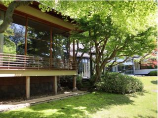 新緑 蓬春の画室前